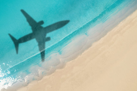 Airplane shadow on water, top view