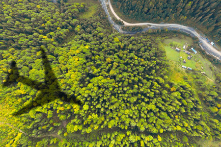 Flying airplane casting shadow on forest, top view