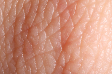 Macro view of human skin as backgroundの写真素材