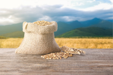 Cereal grains and ears of wheat on wooden table against agricultural fieldの写真素材