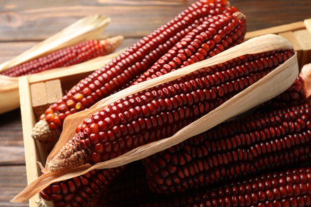 Ripe red corn cobs in crate on wooden table, closeup