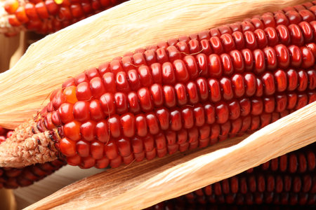 Ripe red corn cobs as background, closeup