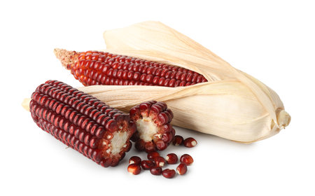 Ripe red corn cobs isolated on white