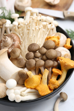 Different raw mushrooms in bowl on white table, closeupの写真素材