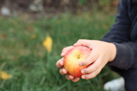 Child with fresh apple in garden, closeup. Space for text