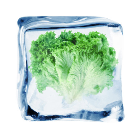 Fresh lettuce inside ice cube isolated on white