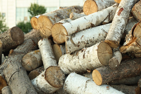 Pile of cut firewood outdoors, closeup view