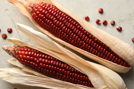 Ripe red corn cobs on light table against, flat layの写真素材