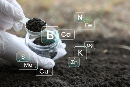 Scientist taking sample of soil for research outdoors, closeup. Chemical elements around. Composition analysisの写真素材