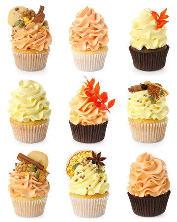Yummy fall cupcakes isolated on white, setの写真素材