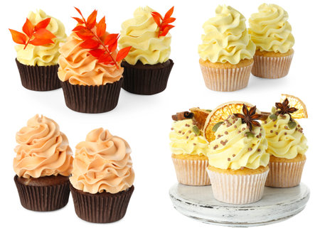 Yummy fall cupcakes isolated on white, setの写真素材