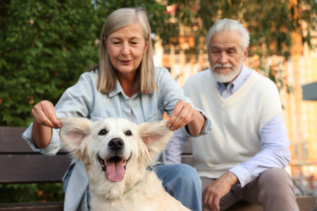 Senior couple with adorable Golden Retriever dog on bench outdoorsの写真素材