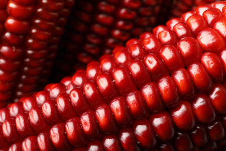 Ripe red corn cobs as background, closeup