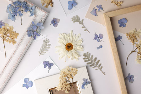 Beautiful dry flowers, green leaves and picture frame elements on white background, flat lay