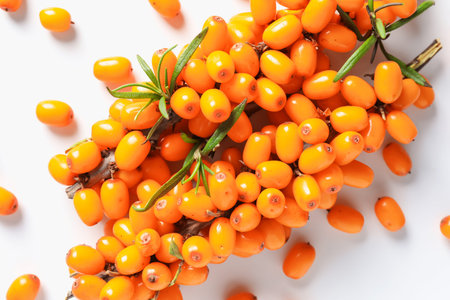Branches with ripe sea buckthorn berries and leaves on white background, flat lay