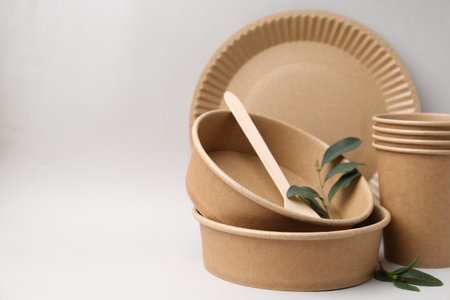 Set of disposable tableware and green leaves on light gray background, closeup. Space for text