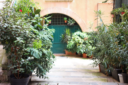 Beautiful potted plants near building on city streetの写真素材