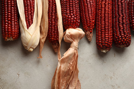Ripe red corn cobs on light table against, flat layの写真素材