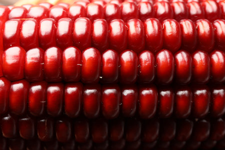 Ripe red corn cob as background, closeup