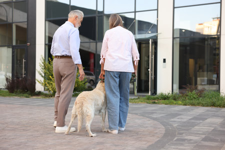 Senior couple walking with Golden Retriever dog outdoors, back view.の写真素材
