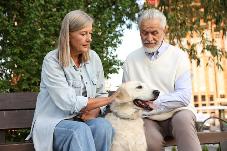 Senior couple with adorable Golden Retriever dog on bench outdoorsの写真素材