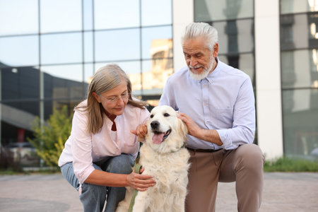 Happy senior couple with adorable Golden Retriever dog outdoorsの写真素材