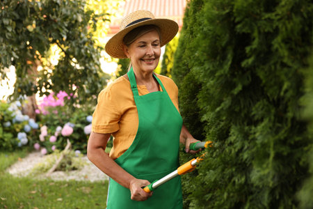 Senior woman in hat and apron with manual hedge trimmer working in gardenの写真素材