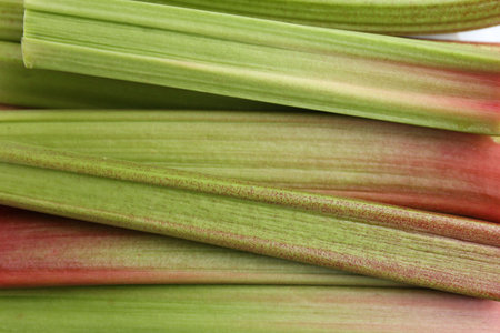Many fresh rhubarb stalks as background, closeupの写真素材
