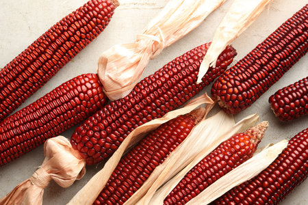 Ripe red corn cobs on light table against, flat lay