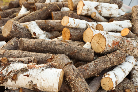 Pile of cut firewood outdoors, closeup view