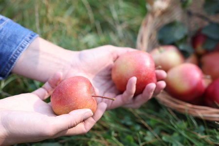 Woman with ripe red apples outdoors, closeup