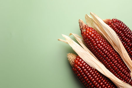 Ripe red corn cobs on green background, flat lay. Space for text