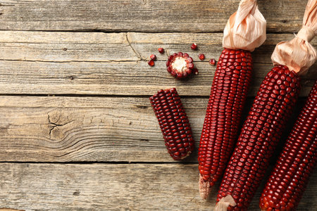 Ripe red corn cobs on wooden table, flat lay. Space for textの写真素材