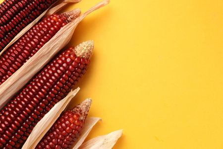 Ripe red corn cobs on yellow background, flat lay. Space for textの写真素材