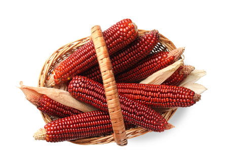 Ripe red corn cobs in basket isolated on white, top view