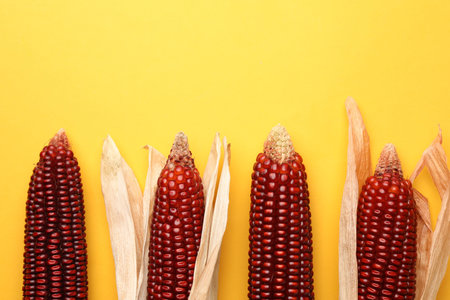 Ripe red corn cobs on yellow background, flat lay. Space for textの写真素材