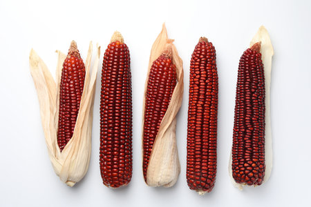 Ripe red corn cobs on white table, flat lay