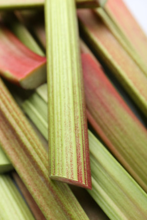 Many fresh rhubarb stalks as background, closeup