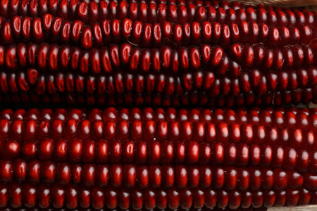 Ripe red corn cobs as background, top view