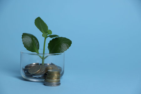 Glass jar with sprout and coins on light blue background, closeup. Space for textの写真素材