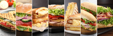 Tasty sandwiches with different fillings, collage. Banner designの写真素材