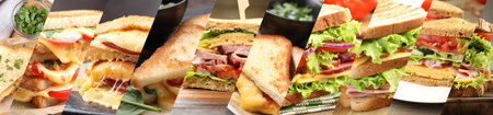 Tasty sandwiches with different fillings, collage. Banner designの写真素材