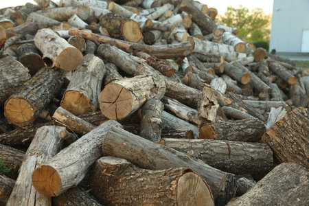 Pile of cut firewood outdoors, closeup view