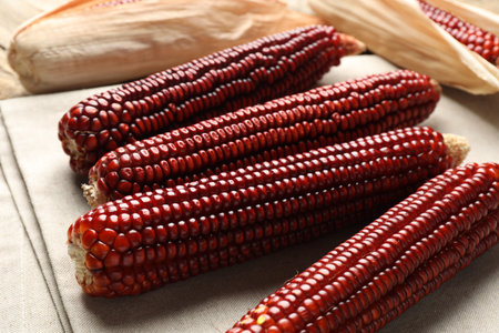 Ripe red corn cobs and light cloth on table, closeup