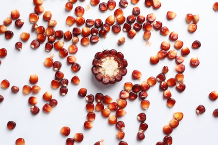 Piece of ripe red corn cob surrounded by kernels on white table, flat layの写真素材