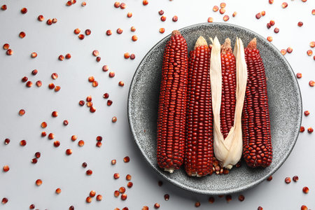 Ripe red corn cobs and kernels on gray background, flat lay