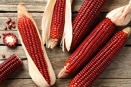 Ripe red corn cobs on wooden table, flat lay