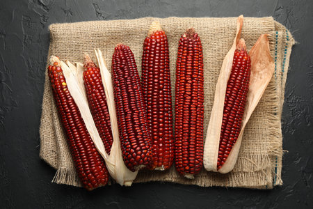 Ripe red corn cobs and burlap fabric on dark textured table, top viewの写真素材