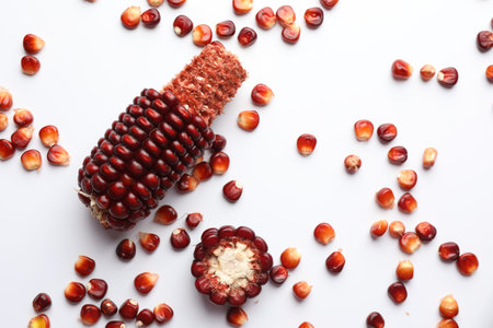 Ripe red corn cob and kernels on white table, flat layの写真素材