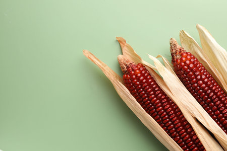Ripe red corn cobs on green background, flat lay. Space for text